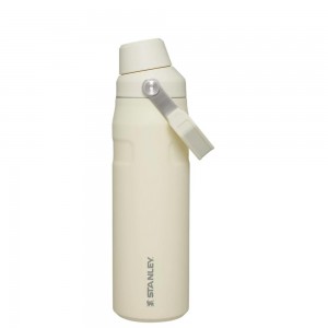 Beige Stanley IceFlow Insulated Bottle with Fast Flow Lid | 24 OZ Water Bottles | 19782-GZRS