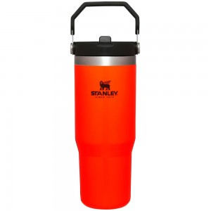 Blaze Orange Stanley Hunt + Fish IceFlow™ Flip Straw Tumbler | 30 OZ Water Bottles | 80354-OVRS