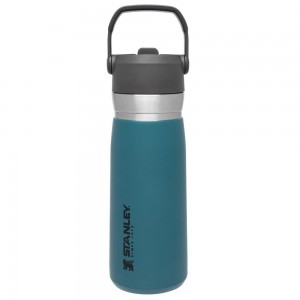 Blue Stanley Go Flip Straw Water Bottle | 22 OZ | Insulated Bottle Water Bottles | 86734-FIUX