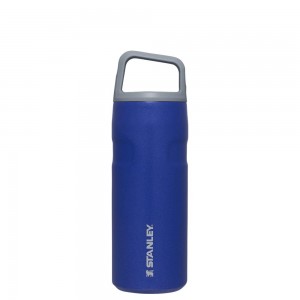 Blue Stanley IceFlow™ Bottle with Cap and Carry+ Lid | 16 OZ Water Bottles | 39175-NXAH