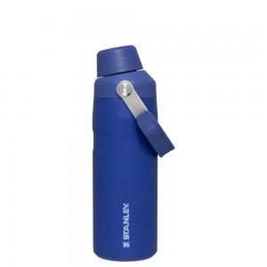 Blue Stanley IceFlow™ Bottle with Fast Flow Lid | 16 OZ Water Bottles | 16450-PYAW