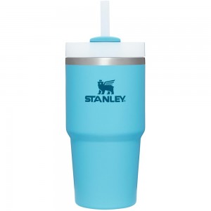 Blue Stanley Quencher H2.0 Travel Tumbler | 20 OZ Water Bottles | 90526-DFYQ