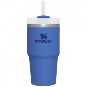 Blue Stanley Quencher H2.0 Travel Tumbler | 20 OZ Water Bottles | 29760-UBYL