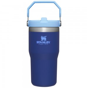 Blue Stanley The IceFlow Flip Straw Tumbler | 20 OZ | Insulated Water Tumbler | Sta Water Bottles | 47315-VFPG