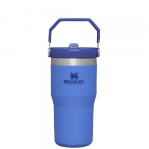 Blue Stanley The IceFlow Flip Straw Tumbler | 20 OZ | Insulated Water Tumbler | Sta Water Bottles | 29836-AGDL