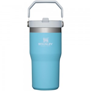 Blue Stanley The IceFlow Flip Straw Tumbler | 20 OZ | Insulated Water Tumbler | Sta Water Bottles | 12879-YGDK