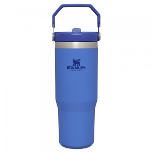 Blue Stanley The IceFlow Flip Straw Tumbler | 30 OZ | Insulated Water Water Bottles | 08573-RWCJ