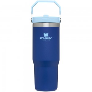 Blue Stanley The IceFlow Flip Straw Tumbler | 30 OZ | Insulated Water Water Bottles | 31782-IMZH