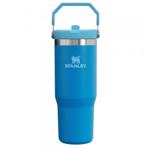 Blue Stanley The IceFlow Flip Straw Tumbler | 30 OZ | Insulated Water Water Bottles | 45021-NLQT