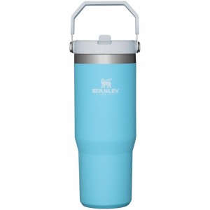 Blue Stanley The IceFlow Flip Straw | 30 OZ | Insulated Water Tumbler | 47318-GHDC