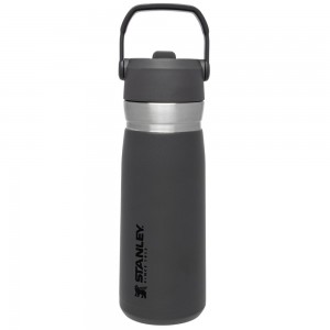 Charcoal Grey Stanley Go Flip Straw Water Bottle | 22 OZ | Insulated Bottle Water Bottles | 42508-IPFO