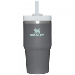 Charcoal Grey Stanley Quencher H2.0 Travel | 20 OZ Tumbler | 39061-UPNF