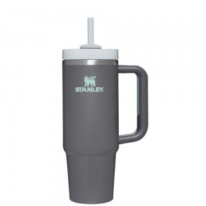 Charcoal Grey Stanley Quencher H2.0 Travel Tumbler | 30 OZ Water Bottles | 92760-SZWI