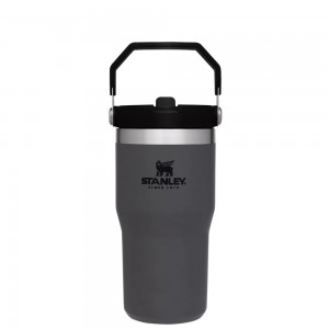 Charcoal Grey Stanley The IceFlow Flip Straw Tumbler | 20 OZ | Insulated Water Tumbler | Sta Water Bottles | 06594-GDBI