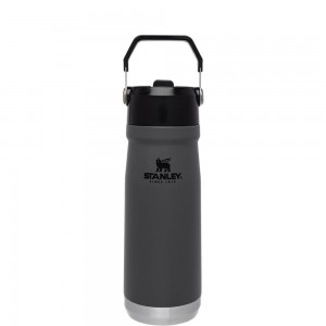 Charcoal Grey Stanley The IceFlow Flip Straw Water Bottle | 22 OZ | Insulated Bottle | Stanl Water Bottles | 19564-PECZ