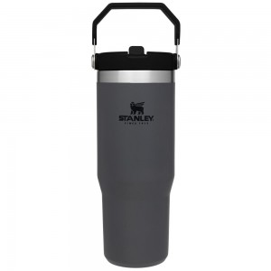 Charcoal Grey Stanley The IceFlow Flip Straw Tumbler | 30 OZ | Insulated Water Water Bottles | 59160-YQSG