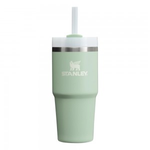 Cream Stanley Quencher H2.0 Travel Tumbler | 14 OZ Water Bottles | 02938-KBWJ