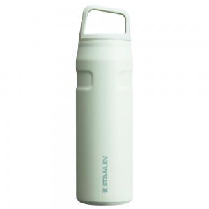 Darkseagreen Stanley IceFlow™ Bottle with Cap and Carry+ Lid | 24 OZ Water Bottles | 94568-EYAQ