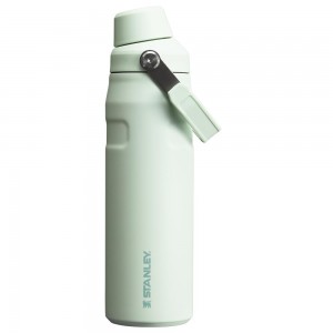 Darkseagreen Stanley IceFlow Insulated Bottle with Fast Flow Lid | 24 OZ Water Bottles | 27415-RBGO