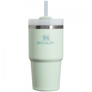 Darkseagreen Stanley Quencher H2.0 Travel | 20 OZ Tumbler | 83927-XOBJ