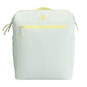 Darkseagreen Stanley The All Day Madeleine Midi Cooler Backpack | 20 Can | 14.8 QT | 14.0 L Bags | 76835-YTGR