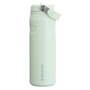 Darkseagreen Stanley The IceFlow™ Bottle with Flip Straw Lid | 24 OZ Water Bottles | 57239-JQOK