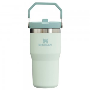 Darkseagreen Stanley The IceFlow Flip Straw Tumbler | 20 OZ | Insulated Water Tumbler | Sta Water Bottles | 48163-ZSUX