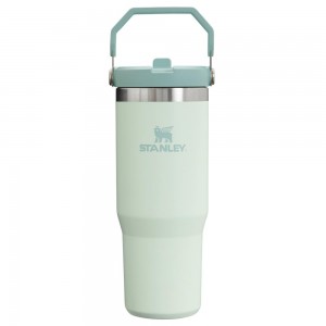 Darkseagreen Stanley The IceFlow Flip Straw Tumbler | 30 OZ | Insulated Water Water Bottles | 08724-HMUC