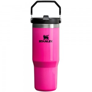 Electric Pink Stanley The Neon IceFlow™ Flip Straw Tumbler | 30 OZ Vacuum Bottles | 17834-IXVB