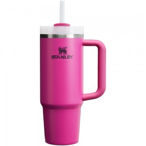 Fuchsia Stanley Quencher H2.0 Travel Tumbler | 30 OZ Water Bottles | 20938-DRXT