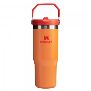 Gold Stanley The Heat Wave IceFlow™ Flip Straw Tumbler | 30 OZ Water Bottles | 06385-LPXY