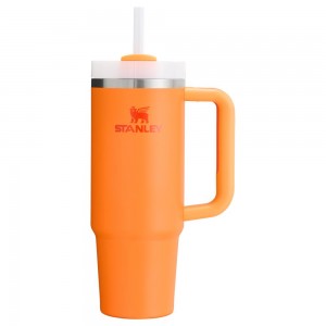 Gold Stanley The Heat Wave Quencher H2.O FlowState™ | 30 OZ Tumbler | 96107-OYBF