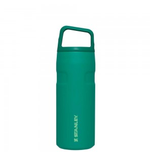 Green Stanley IceFlow™ Bottle with Cap and Carry+ Lid | 16 OZ Water Bottles | 08394-GJYU