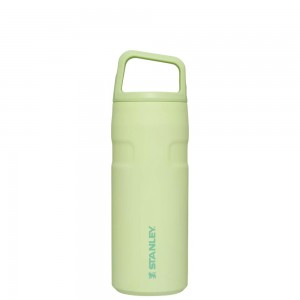 Green Stanley IceFlow™ Bottle with Cap and Carry+ Lid | 16 OZ Water Bottles | 87235-NULT