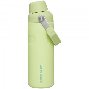 Green Stanley IceFlow™ Bottle with Fast Flow Lid | 16 OZ Water Bottles | 19437-TVNO