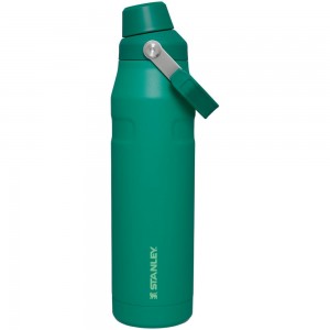 Green Stanley IceFlow Insulated Bottle with Fast Flow Lid | 36 OZ Water Bottles | 04138-DSUY