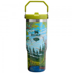 Green Stanley The Always With Honor IceFlow™ Flip Straw Tumbler | 30 OZ Water Bottles | 30182-PGCM