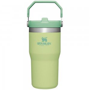 Green Stanley The IceFlow Flip Straw Tumbler | 20 OZ | Insulated Water Tumbler | Sta Water Bottles | 89537-SMFX