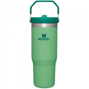 Green Stanley The IceFlow Flip Straw Tumbler | 30 OZ | Insulated Water Water Bottles | 32865-SBCM