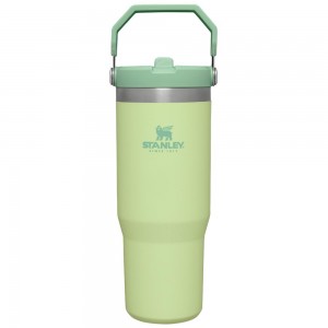 Green Stanley The IceFlow Flip Straw Tumbler | 30 OZ | Insulated Water Water Bottles | 53204-ABTR