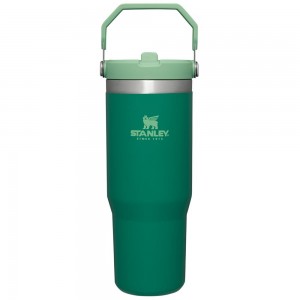 Green Stanley The IceFlow Flip Straw | 30 OZ | Insulated Water Tumbler | 37451-FIDL