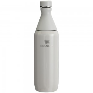 Grey Stanley All Day Slim Bottle | 20 OZ Water Bottles | 17426-VLBU