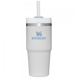 Grey Stanley Quencher H2.0 Travel Tumbler | 14 OZ Water Bottles | 59841-WRVG