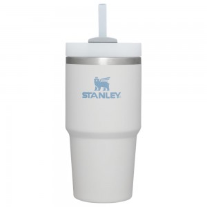 Grey Stanley Quencher H2.0 Travel Tumbler | 20 OZ Water Bottles | 12358-WVTA