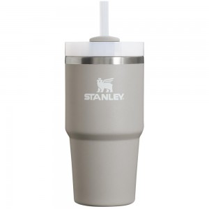 Grey Stanley Quencher H2.0 Travel Tumbler | 20 OZ Water Bottles | 93287-EKMA