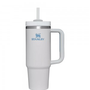 Grey Stanley Quencher H2.0 Travel | 30 OZ Tumbler | 49138-TVMW