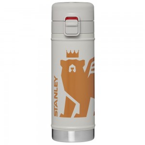 Grey Stanley The Wild Imagination Flowsteady™ Big Bear Bottle | 17 OZ Water Bottles | 73291-TOAH