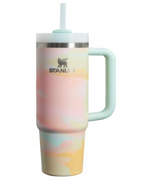 Multicolor Stanley The Clean Slate Brushstrokes Quencher H2.0 FlowState™ | 30 OZ Tumbler | 03164-AVYT