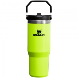 Neon Yellow Stanley The Neon IceFlow™ Flip Straw Tumbler | 30 OZ Vacuum Bottles | 09546-CUNP