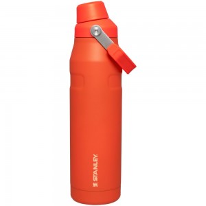 Orange Stanley IceFlow Insulated Bottle with Fast Flow Lid | 36 OZ Water Bottles | 54976-TUIP